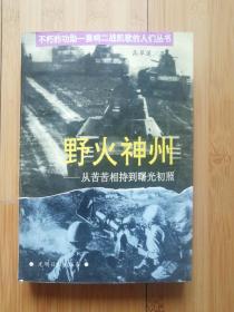 野火神州-从苦苦相持到曙光初现 不朽的功勋奏响二战凯歌的人们丛书