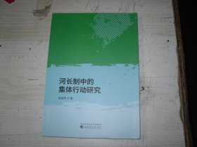 河长制中的集体行动研究                                          2-1173