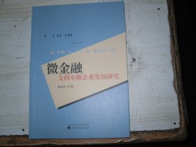 微金融支持小微企业发展研究                                1-1199