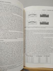 模拟电路版图的艺术（第2版）（英文版）