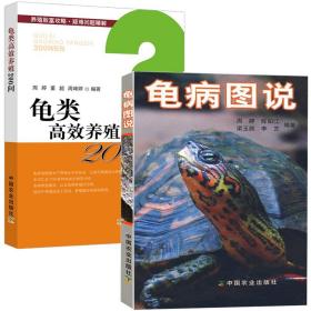 龟类健康养殖关键技术有问必答/养殖致富攻略·一线专家答疑丛书