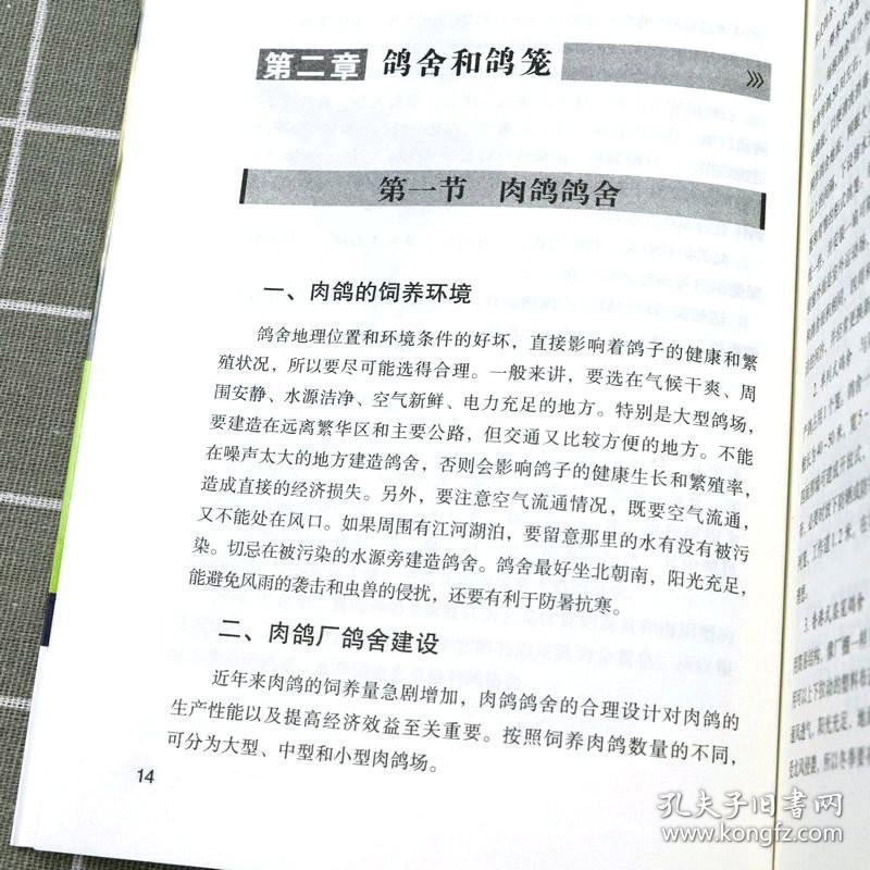 正版新书/肉鸽信鸽观赏鸽养殖技术养鸽子书籍肉鸽养殖书籍常见病诊治高养鸽技术书籍大全鸽子常见病多发病的鉴别诊断与治疗书籍