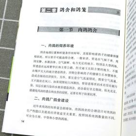 正版新书/肉鸽信鸽观赏鸽养殖技术养鸽子书籍肉鸽养殖书籍常见病诊治高养鸽技术书籍大全鸽子常见病多发病的鉴别诊断与治疗书籍