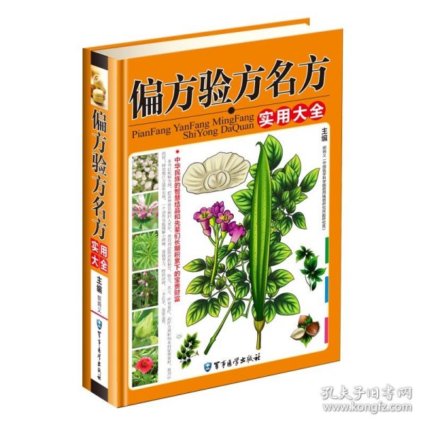 偏方验方名方实用大全