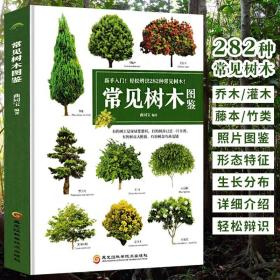 300种常见园林树木识别图鉴