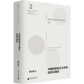 中国的新型正义体系：实践与理论（实践社会科学与中国研究·卷二）