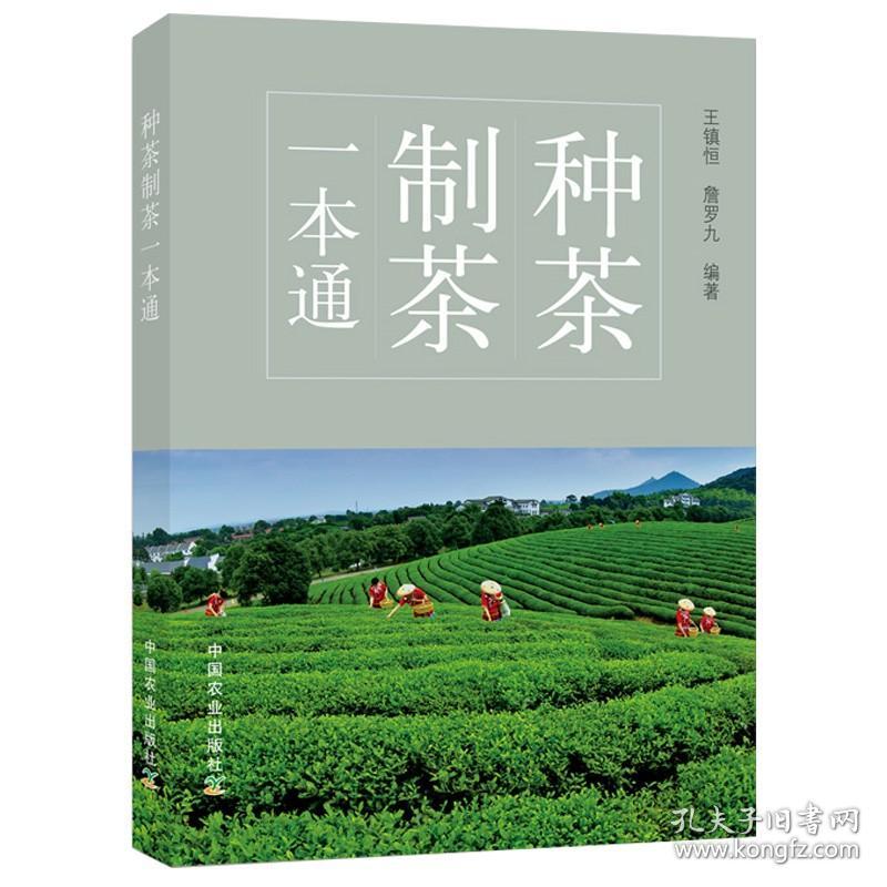 正版新书/套装3册 白茶科学技术与市场+种茶制茶一本通+2小时读懂茶叶营销