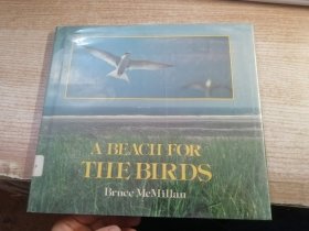 A BEACH FOR THE BIRDS