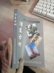 浦东古树