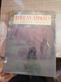 AFRICAN ANIMALS