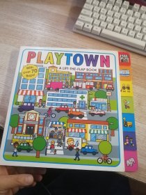 Playtown: A Lift-the-Flap Book