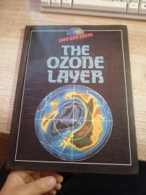THE OZONE LAYER