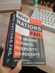 Why Nations Fail: The Origins of Power  Prosperity  and Poverty