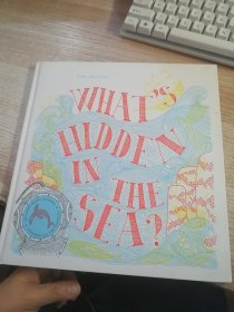 What's Hidden in the Sea？