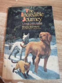 The incredible journey