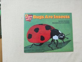 bugs are insects