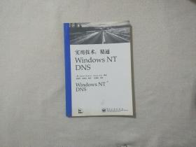 实用技术：精通Windows NT DNS