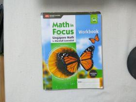 Math in Focus Singapore math 3A