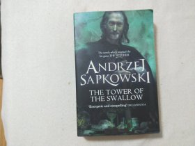 andrzej sapkowski the tower of the swallow