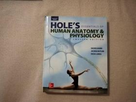 hole's essentials of human anatomy physiology