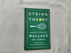 String Theory: David Foster Wallace