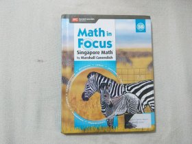 math in focus 5B