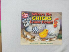 where do chicks come from