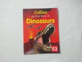 My First Book of DINOSAURS