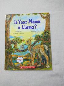 IS YOUR MAMA A LIAMA?