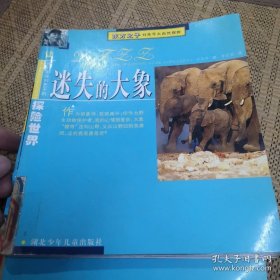 迷失的大象