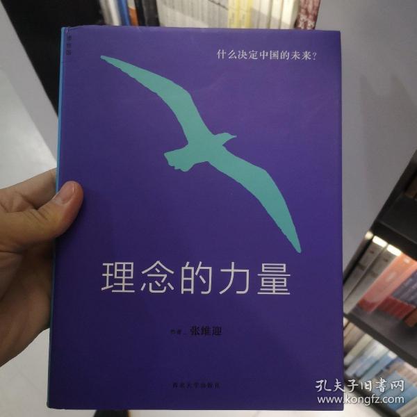 理念的力量：什么决定中国的未来