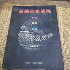 品牌形象战略 : 策划·设计·实施