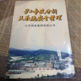 矿山事故分析及系统安全管理