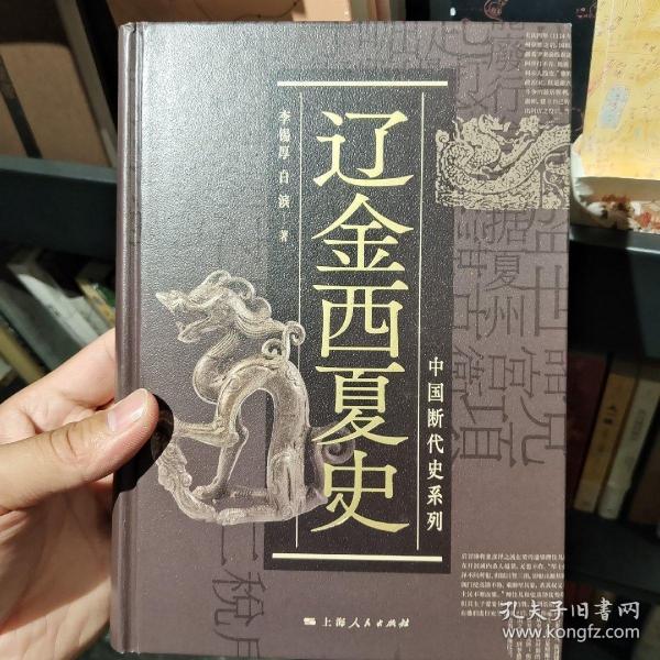 辽金西夏史(中国断代史系列)