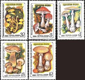 邮票1986年 5724-28 有毒菌类 5全