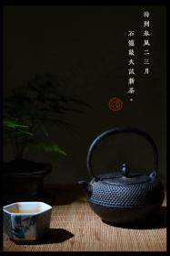 日本茶道茶具南部铁器铁瓶雾霰老铁壶珠粒饱满动静相宜捶打上万次