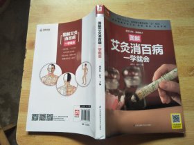 图解艾灸消百病一学就会