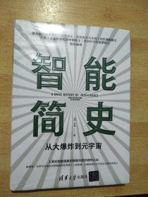 智能简史——从大爆炸到元宇宙