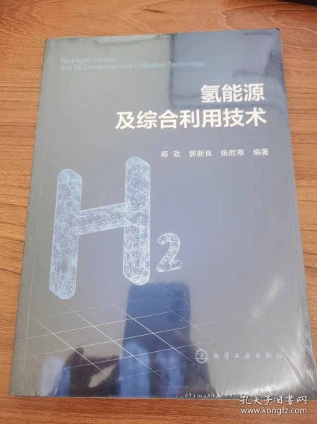 氢能源及综合利用技术