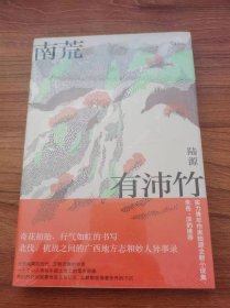 南荒有沛竹（光怪陆离的民国广西故事；历史想象力的巅峰；朱岳、淡豹推荐）