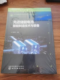 先进储能科学技术与工业应用丛书--先进储能电池智能制造技术与装备