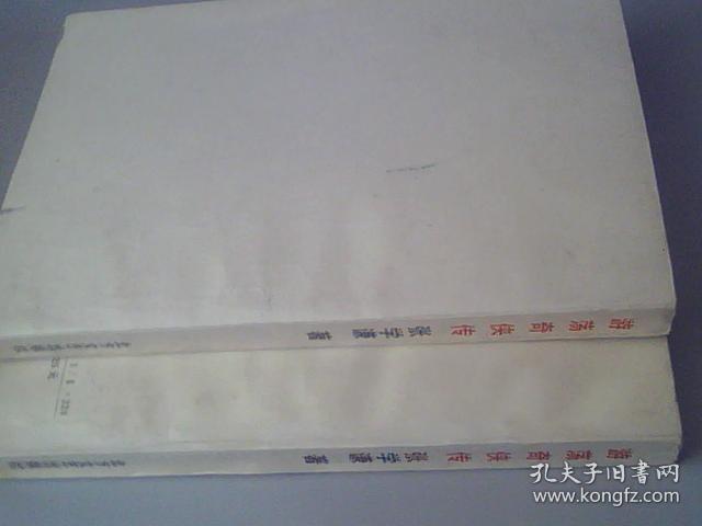 游荡奇侠传上下