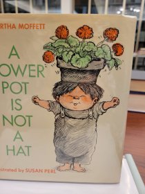 A Flower Pot Is Not a Hat