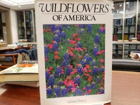 Wildflowers of America