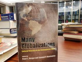 Many Globalizations: Cultural Diversity in the Contemporary World