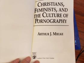 Feminists, and the Culture of Pornography