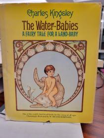 The Water Babies: A Fairy-Tale for a Land-Baby illustrated by W. Heath Robinson