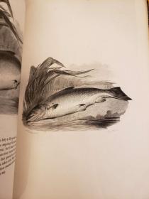 The Compleat Angler, or, the Contemplative Man's Recreation Being a Discourse of Rivers, Fish-Ponds, Fish and Fishing. With original Memoirs and Notes by Sir Charles Nicolas. Two volumes