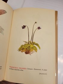 Glass Flowers in the Ware Collection in the Botanical Museum of Harvard University: Insect Pollination Series With Sixteen Color Plates by Fritz Kredel