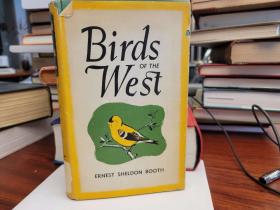 Birds of the West : illustrated by Harry Baerg and Carl Petterson